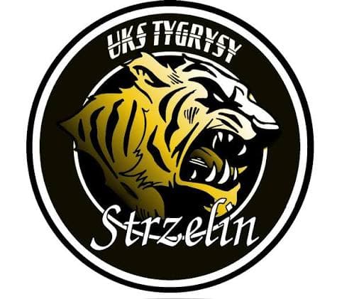 Tygrysy Strzelin